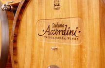 Valpolicella Wine and Food Tour With Transfer From Garda Lake