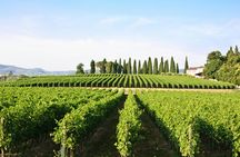 Valpolicella Wine and Food Tour With Transfer From Garda Lake