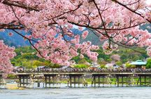 Kyoto Sanzen-in, Arashiyama and Bamboo Grove Full Day Tour