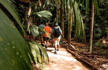 Vallée de Mai guided walking tour