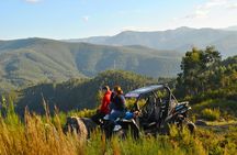 Arouca 1-Hour Buggy Experience
