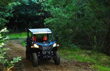 Arouca 1-Hour Buggy Experience