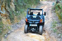 Arouca 1-Hour Buggy Experience
