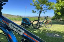 Stellenbosch Winelands 5 hour Private E-Bike Tour