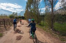 Franschhoek Winelands 7 hour Private E-Bike Tour with Lunch