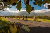Franschhoek Winelands 7 hour Private E-Bike Tour with Lunch
