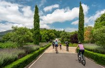 Franschhoek Winelands 7 hour Private E-Bike Tour with Lunch