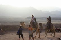 Ultimate Sand buggy experience in the Sahara with dinner from Sharm El Sheikh