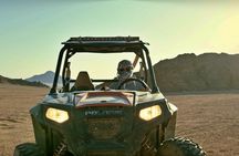 Morning Sand Buggy Experience Plus Bedouin Tea Tasting in Sharm Desert