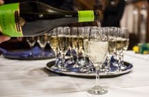 Danube 1.30-hour cruise with welcome drink