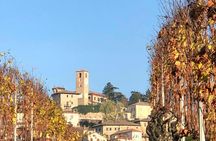 Neive Walking Tour with Winetasting
