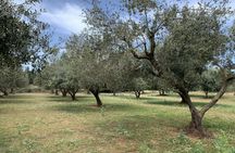E-Bike Farm Tour in Kefalonia with Honey and Olive Oil Tastings