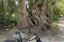 E-Bike Farm Tour in Kefalonia with Honey and Olive Oil Tastings