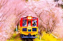 Kyoto Sanzen-in, Arashiyama and Bamboo Grove Full Day Tour