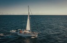 West Bays Sailing Trip from Funchal with Lunch