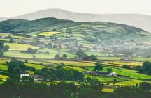 Guided Day Trip to Cliffs of Moher and Galway from Dublin