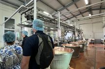 Ferrari, Parmesan and Balsamic Food Tasting Tour in Bologna