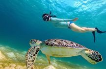 Three Islands Full Day Trip With Snorkeling