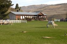 Estancia 25 de Mayo Tour with Dinner and Transfer