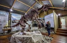 El Calafate Panoramic Tour with Punta Walichu
