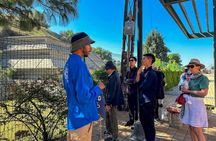 Puebla and Cholula guided tour from Mexico City