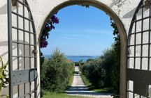 Lake-View Aperitif between the Vineyards of Lake Garda