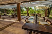 Barbecue Experience among Lake Garda's Olive Trees