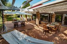 Barbecue Experience among Lake Garda's Olive Trees