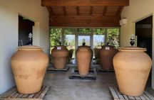 Wine & Taste On Lake Garda: Organic farm, Local Product And Amazing Sunsets
