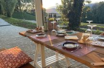 Wine & Taste On Lake Garda: Organic farm, Local Product And Amazing Sunsets