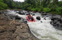 Rafting and City Tour with Lunch from Lombok