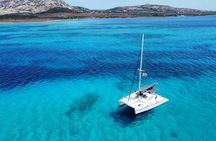Full-Day Asinara Island Catamaran Trip from Stintino with Lunch
