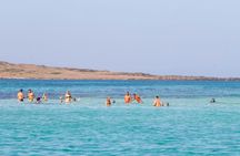 Full-Day Asinara Island Catamaran Trip from Stintino with Lunch