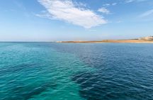 Full-Day Asinara Island Catamaran Trip from Stintino with Lunch