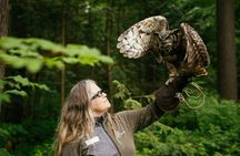 Capilano Suspension Bridge Park tickets
