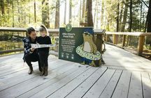 Capilano Suspension Bridge Park tickets
