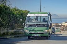 Full-Day Vesuvius and Pompeii Guided Tour with Lunch from Rome