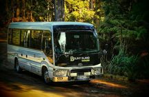 Bruny Island safaris, local food tasting and lighthouse tour