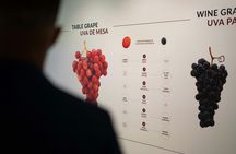 The Wine Experience Museum and Personalised Tasting at WOW