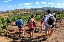 Small Group Tour with Brunch and Wine Tasting from Cagliari