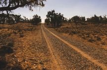 4x4 Tour to Souss-Massa National Park and Tiznit