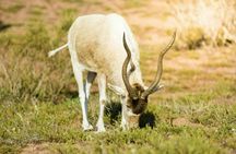 Souss-Massa National Park Guided Tour with Hotel Pickup
