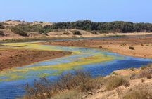 Souss-Massa National Park Guided Tour with Hotel Pickup