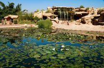 Visit to Crocoparc from Agadir or Taghazout with Entrance Tickets