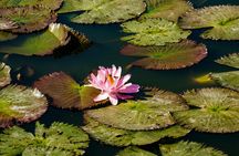 Visit to Crocoparc from Agadir or Taghazout with Entrance Tickets