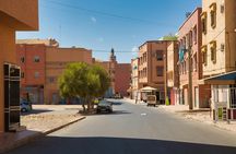 4x4 Tour to Souss-Massa National Park and Tiznit