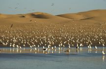 4x4 Atlas Mountains Tour from Agadir with Lunch