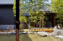 Nara, Todaiji, Matcha Experience and Hot Spring Tour from Osaka