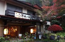 Nara, Todaiji, Matcha Experience and Hot Spring Tour from Osaka