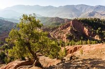 Guided Tour to a Berber Oasis from Agadir with Short Hike